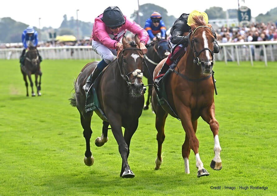 Spanish Mission is to stay down under after being sold